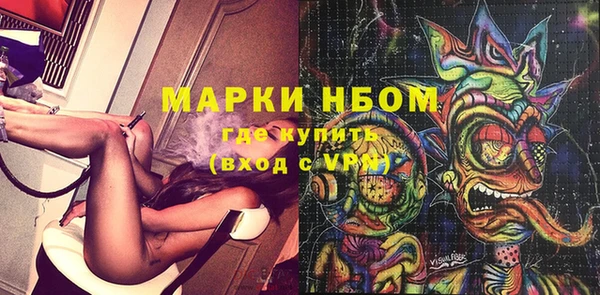 ГАЛЛЮЦИНОГЕННЫЕ ГРИБЫ Белокуриха