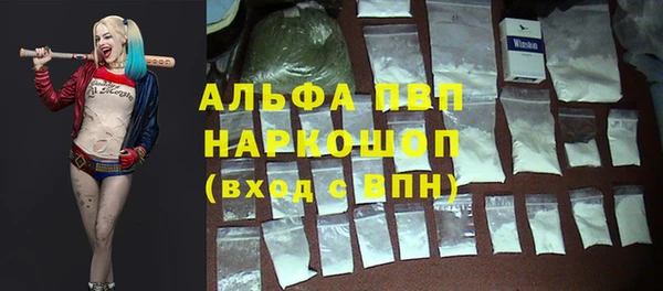 ГАЛЛЮЦИНОГЕННЫЕ ГРИБЫ Белокуриха
