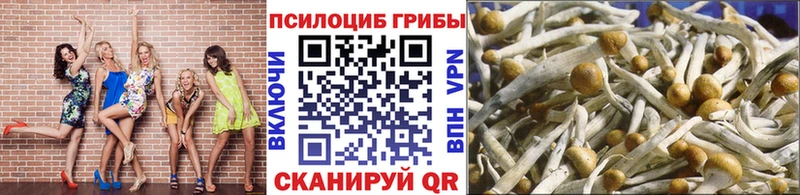Псилоцибиновые грибы GOLDEN TEACHER  Купить закладки  Струнино 